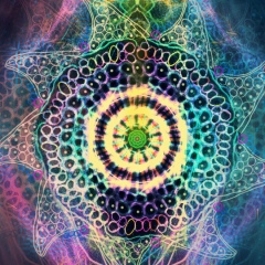 Лучик Света, 06.11.1989, Ярославль