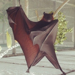 Анна Проклова, 21.09.1925, Москва