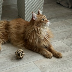 Женя Хисамова, 26.12, Челябинск