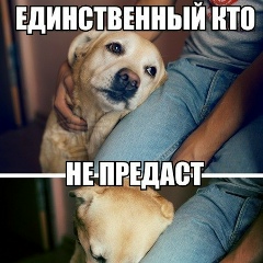 Миша Васильев, 26.03.2000, Иркутск