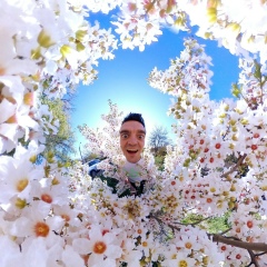 Роман Шевченко