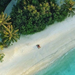 Александр Шомахов, 01.01