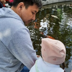 Савр Шамадыков, Элиста