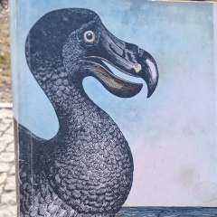 Станіслав Білокур, 04.04.1986, Луч