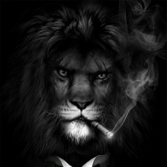 Сергей Габайдулин, 15.08, Москва