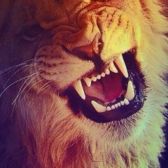 Алмат Айтжанов, 02.12.1990, Алматы