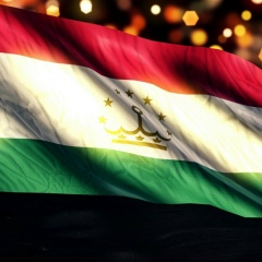 Хабиб Хабибов, 03.08.1989, Санкт-Петербург