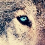 Супьян Дадаев, 09.01, Москва