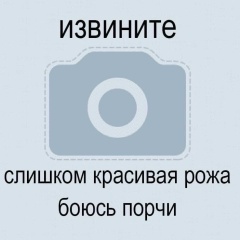Рома Орел, 12.05, Сосновый Бор