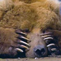 Денис Насифулин, 22.12.1985, Полысаево