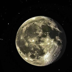 Zaur Alokov, Санкт-Петербург