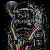 Марья Малышева, 17.01, Краснодар