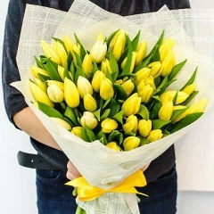 Наталья Гасевская, 28.06.1986, Сумы