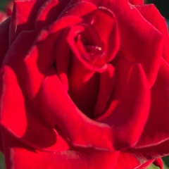 Вероника Сливец, 21.08