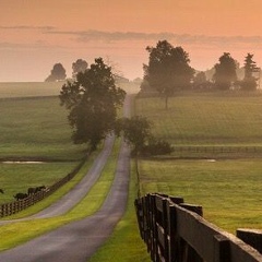 Эдуард Норов, 03.05.1990