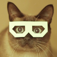 Дарья Власова, 18.08.1984, Москва