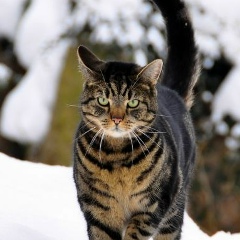 Артём Танатин, 02.01, Миасс