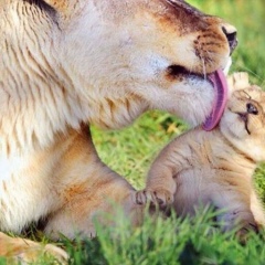 Айгерим Жунусова, 19.01, Караганда