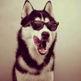 Askin Tagybaev, 06.06.1991, Москва