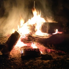 Александр Ерошин, 07.03.1985, Санкт-Петербург