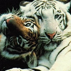 Анна Ермакова, 09.07, Москва