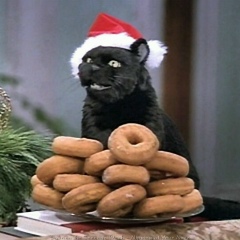 Дарина Стопник, 25.03