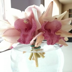 Татьяна Драп, 10.08.1985, Омск