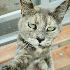 Максим Шилов, 10.04, Москва