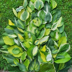 Маргарита Валиева, 10.10.1984, Москва