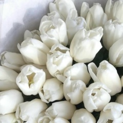 Лариса Корнева, Красноярск