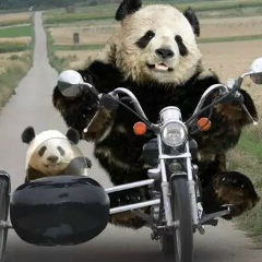 Илья Паничев, 24.12.1989, Москва