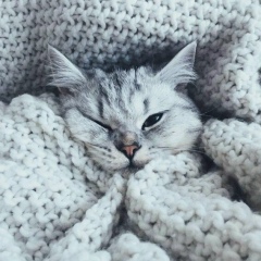 Елизавета Котова, 05.02.2002, Новотроицк