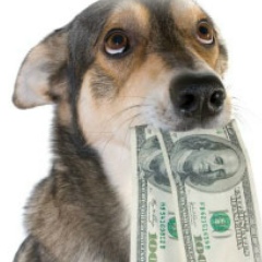 Ярослав Костиков, 01.08, Чебоксары