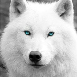 Марк Алданов, 14.06, Волгоград