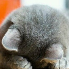 Инайя Мухьаддин, 20.01, Грозный