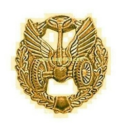 Денис Полканов, Воронеж