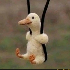 Николай Качанов, 07.06.1986, Красноярск