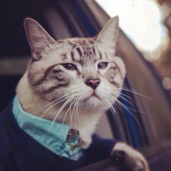 Василий Капустин, 09.05, Москва