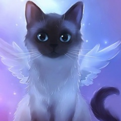 Ксения Артёмова, 10.10