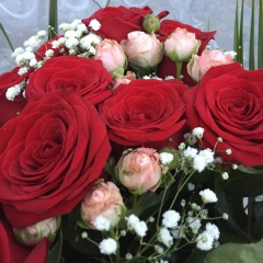 Amina Ismailova, 02.04, Ярославль