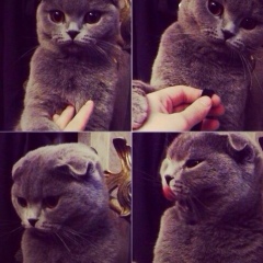 Eva Lorsanova, 28.02, Москва