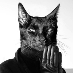 Антон Земчёнок, 07.11.1983, Минск