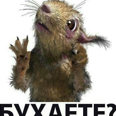 Таншолпан Тилеуберген, Шымкент