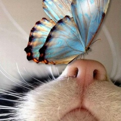 Любовь Тройнич, 18.07.1989, Хабаровск