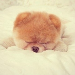 Толкын Калиева, 17.05.1987, Астана