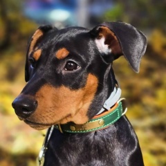 Ika Ps, 01.02, Москва