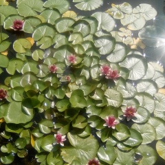 Анастасия Рыжичег, 28.10, Санкт-Петербург