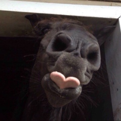 Анна Иншева, Москва