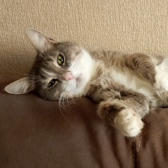 Артур Шуматбаев, 11.09.1991, Уфа