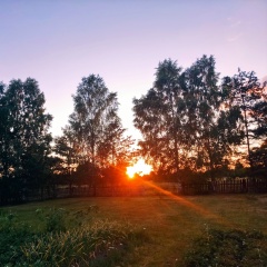Андрей Васильевич, 13.07.1982, Москва
